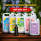 Monthly Saving Pack - 20% OFF (5L) - Y Sons Home Essentials