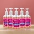 SOFTLE - 5 BOTTLES BUNDLE OFFER - Y Sons Home Essentials